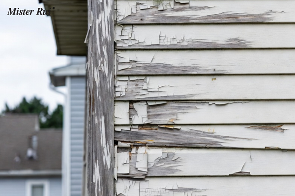 Mister Rui BLOG Main photo - The white paint on the wooden exterior walls of the house is peeling off.