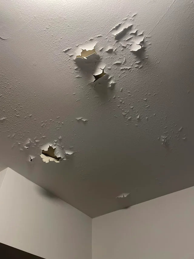 How to Fix Water-Damaged Peeling Paint: A Homeowner’s Guide to Lasting Repairs - MisterRui