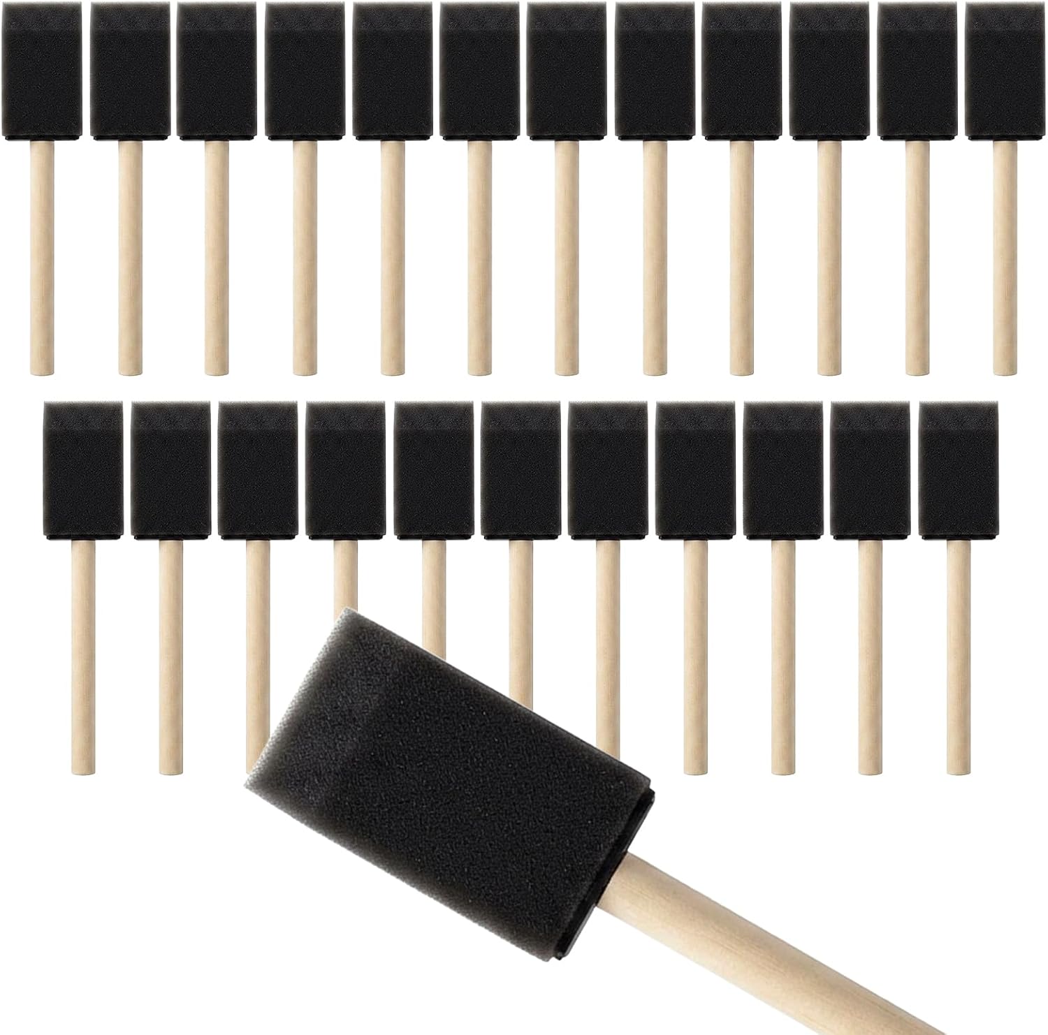 Mister Rui 1.5" Sponge Brushes 24 Pk – Bulk Foam Applicators for Classrooms